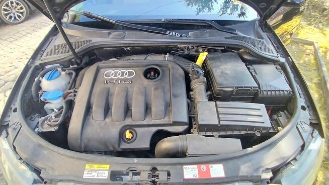 Audi A3 8P Sportback 1.9 TDI