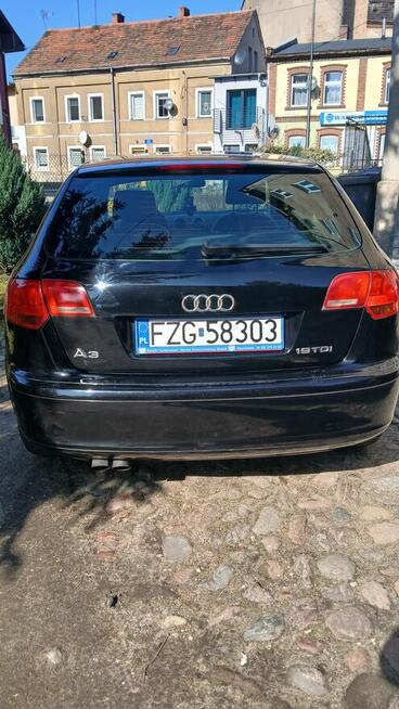 Audi A3 8P Sportback 1.9 TDI