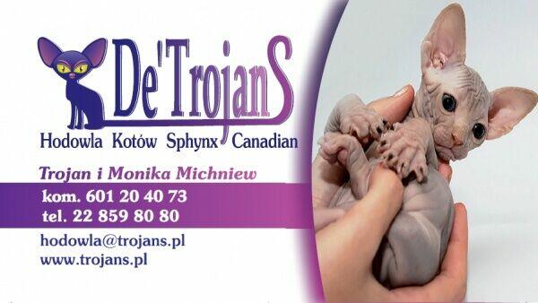 Fanta n32 • Bambino • Krótkonoga dziewczynka jedyna taka