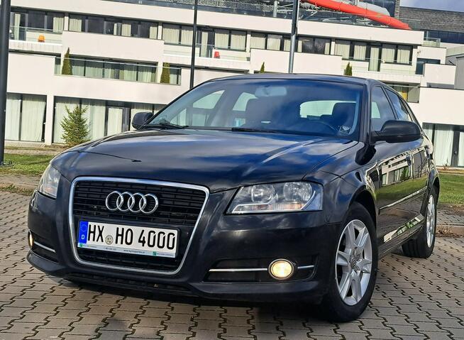 Audi A3 * 2.0 COMMON RAiL* BDB STAN* KLiMAtronik* halogeny* podgrzew. fotele*