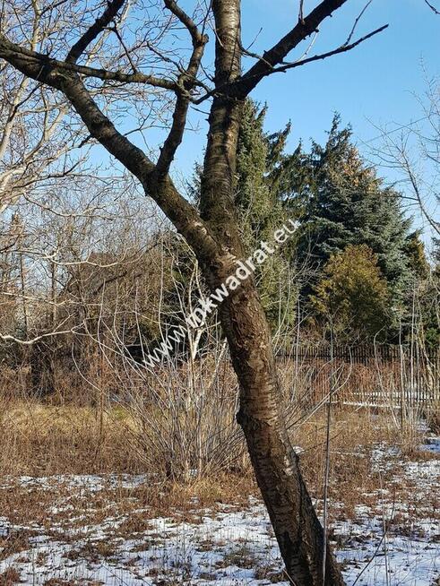 ⭐⭐⭐⭐⭐ KLIMATYCZNY DOM W CENTRUM Brwinowa ⭐⭐⭐⭐⭐