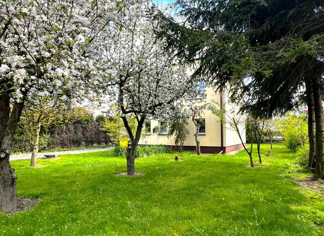 Dom Jednorodzinny, Parczew, ul. 1 Maja