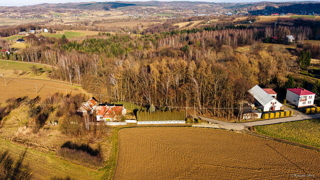 Działka leśna 30,25 ar Tuchów