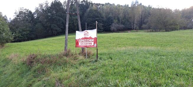 Na sprzedaż działka w Zdoni koło Zakliczyna 19 ar
