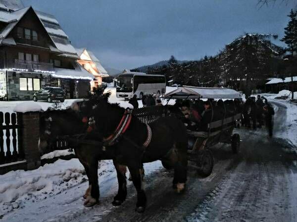 Góry Ferie 2026 r- wyciąg Czorsztyn-Ski, 5km, hala sportowa