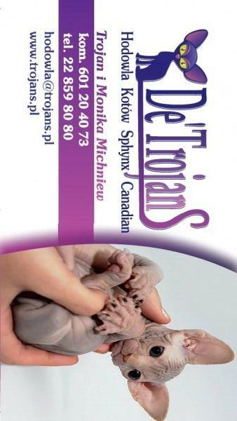 Fanta n32 • Bambino • Krótkonoga dziewczynka jedyna taka