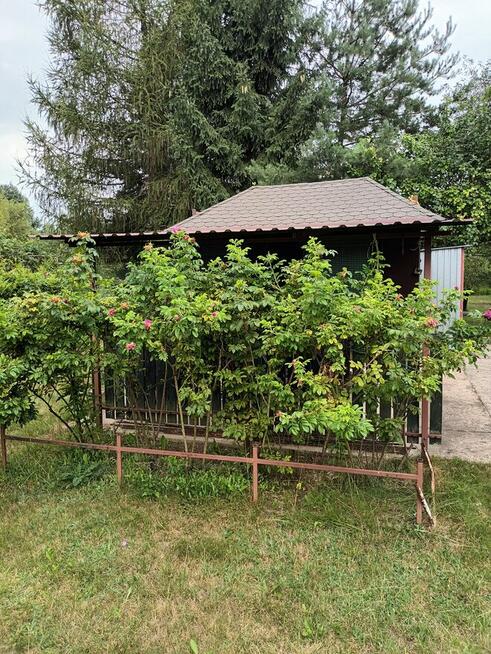 Działka ROD Radom Jarzębina na Godowie