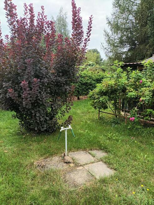 Działka ROD Radom Jarzębina na Godowie