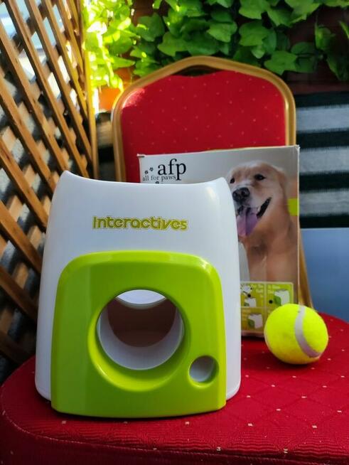 Wyrzutnia Piłek Tenisowych Maszyna do nagród Dla Psa Zabawka