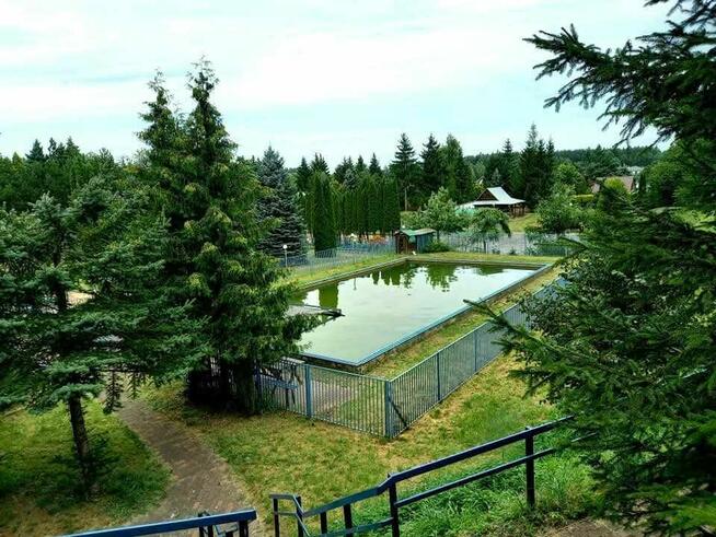 *Działka ROD* Zalesiany Niewodnica Kościelna