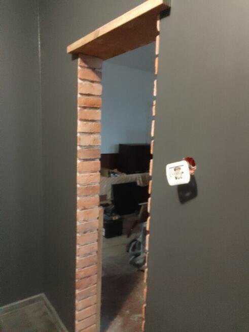 Usługi sprzątania działek