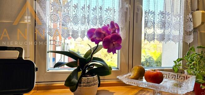 4-stronne mieszkanie dla dużej rodziny,os. Zacisze