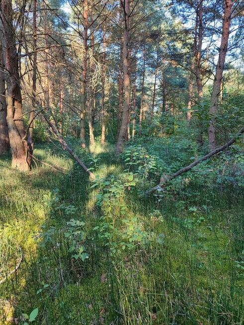 Piękna działka z linią brzegową