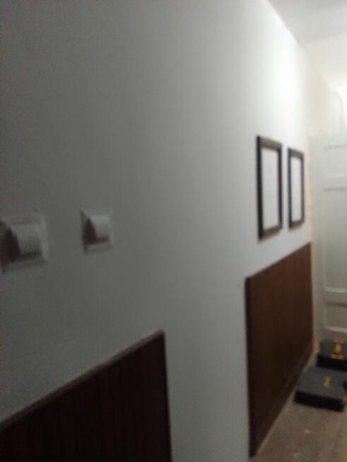 Usługi sprzątania działek