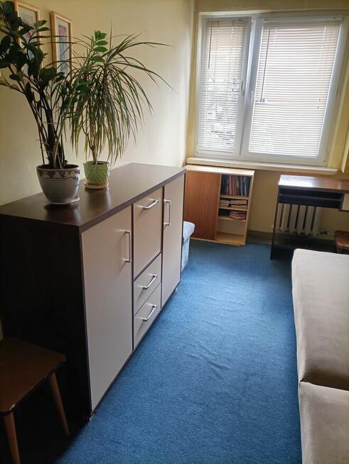 Kraków Pokój 1 osobowy do wynajęcia