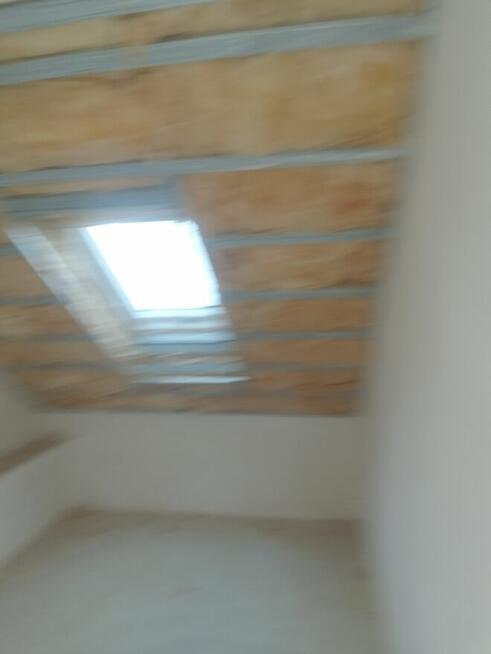 Usługi sprzątania działek