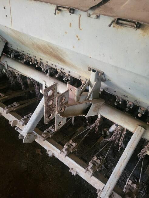 Siewnik zbożowy poznaniak