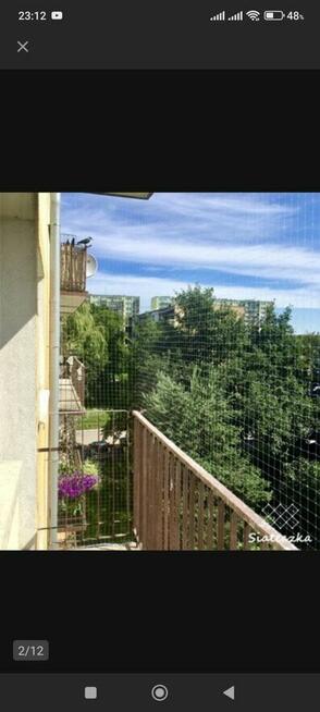 Siatka Przeciw Ptakom Ptaki gołębie do kotów koty Na Balkon