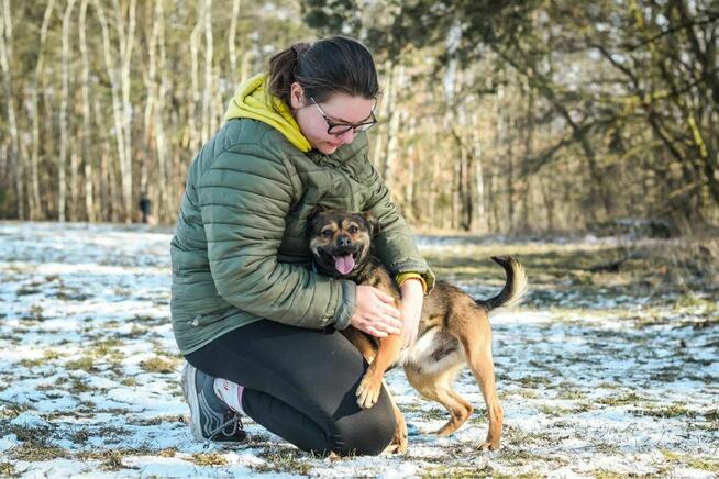 Adaś-cudowny, energiczny młody pies do adoocji