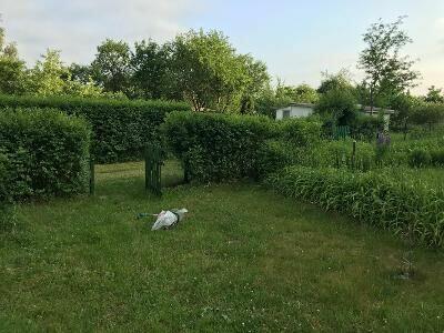 Działka ROD w Słupsku, Gdańska