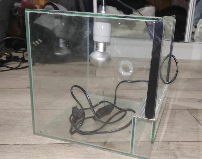 Witam mam do zaoferowania małe terrarium