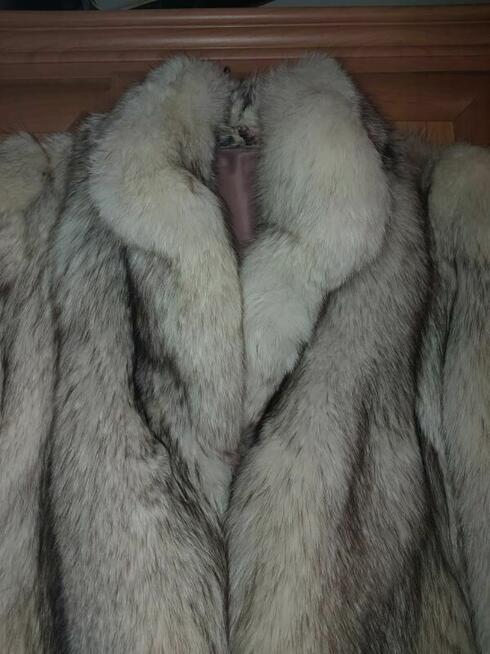 futro damskie - lis