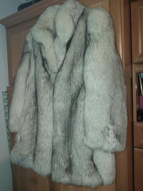 futro damskie - lis