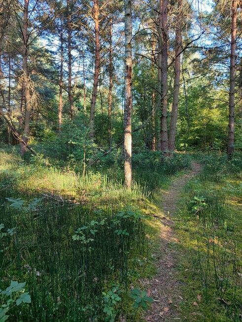 Piękna działka z linią brzegową