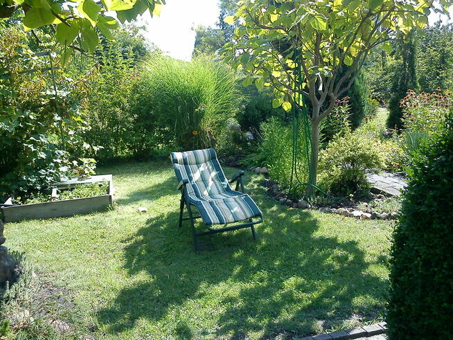 Zaciszna działka rekreacyjana ROD Opole