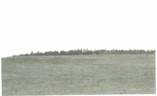 syndyk sprzeda nieruchomość Nowe Kiejkuty 215/4