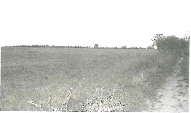 syndyk sprzeda nieruchomość Nowe Kiejkuty 215/6