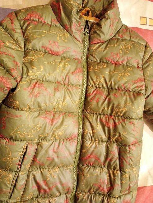 kurtka wiosenna w dinozaury dla chłopca lub dziewczynki