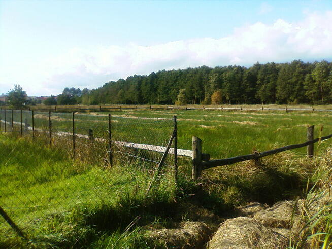 działki 2400m2 Białogóra 500m morze lokata zabudowania widać