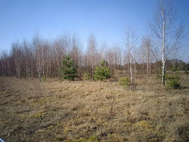 Działka budowlana 2462m2 Brańszczyk