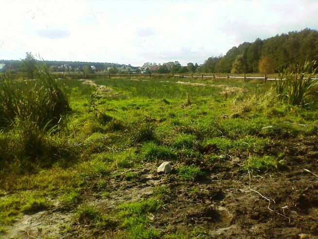 działki 2400m2 Białogóra 500m morze lokata zabudowania widać