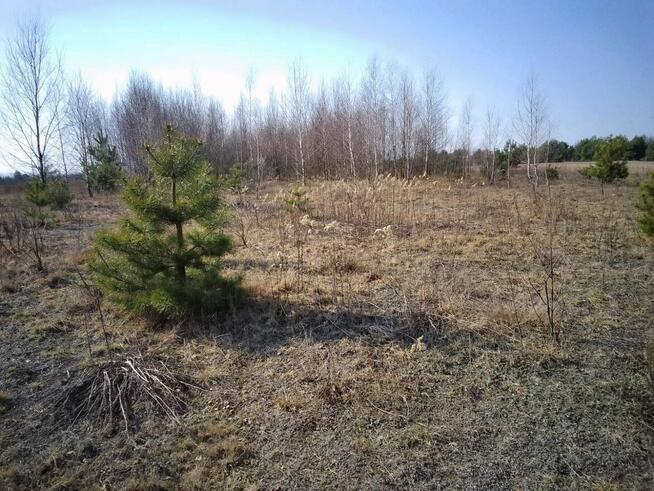 Działka budowlana 2462m2 Brańszczyk