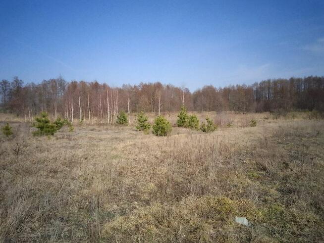 Działka budowlana 2462m2 Brańszczyk