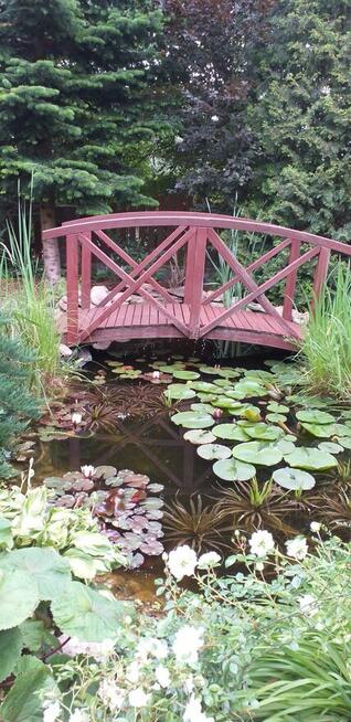 Sprzedam zadbany dom z pięknym ogrodem