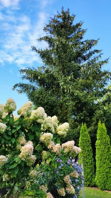 Działka Rod Przyszłość Włocławek