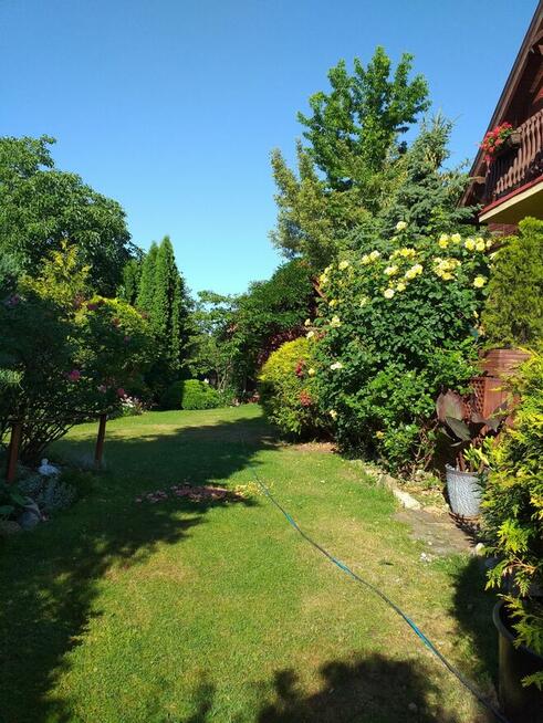 Sprzedam zadbany dom z pięknym ogrodem