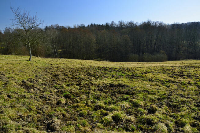 Sprzedam działkę - Gaj, gm. Mogilany