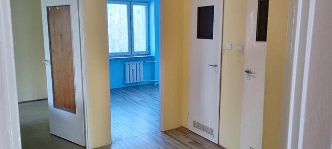 4-pokojowe mieszkanie 74m2