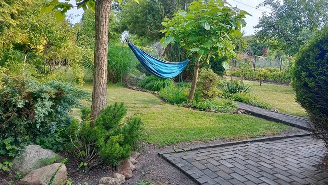 Zaciszna działka rekreacyjana ROD Opole