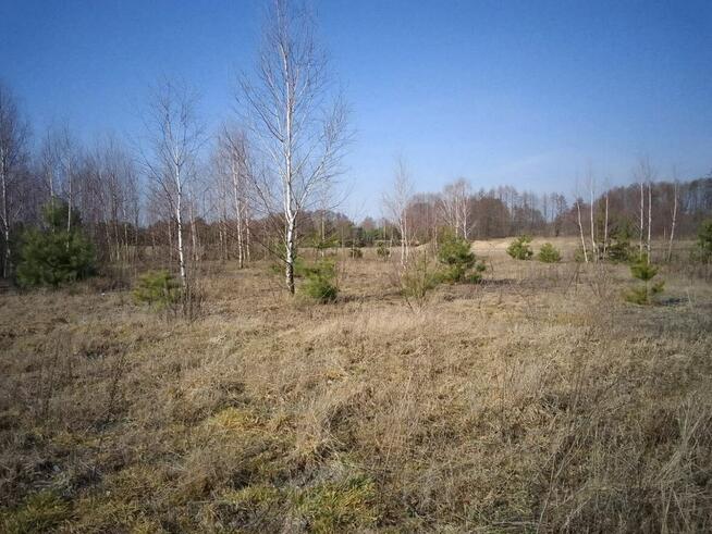 Działka budowlana 2462m2 Brańszczyk