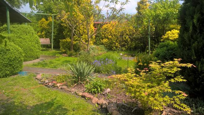 Zaciszna działka rekreacyjana ROD Opole