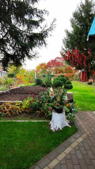 Działka Rod Przyszłość Włocławek