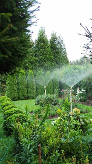 Działka Rod Przyszłość Włocławek