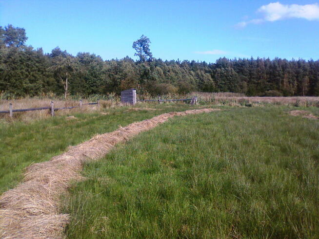 działka 2szt rolne2400m2 Białogóra /Dębek700m morze