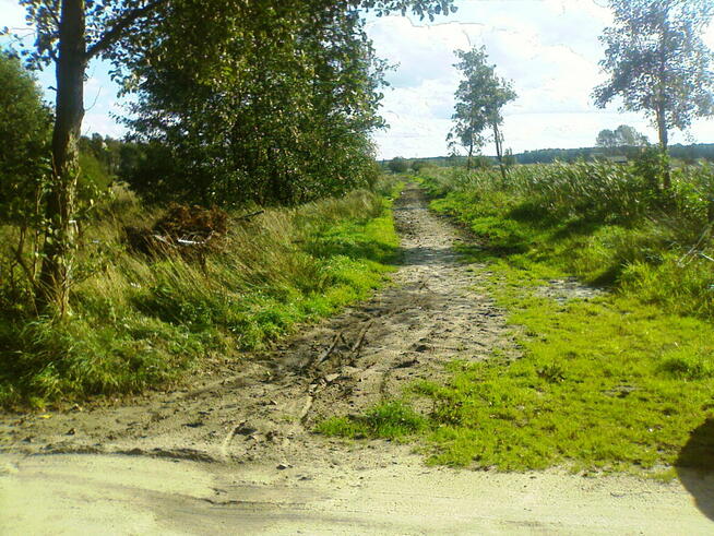 działki 2szt 2400m2 Białogóra 500m morze lokata zabudowania