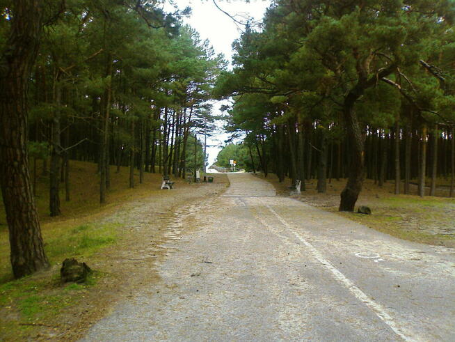 działka 2szt rolne2400m2 Białogóra /Dębek700m morze